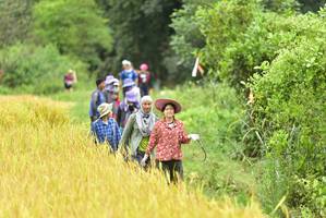 BIB: 
                            <button type="button" onclick="openModal(13436895)" class="btn btn-primary btn-sm float-right btn-popup" data-toggle="modal" data-target=".modal-high-quality">
                        <i class="fas fa-shopping-cart"></i> Add to Cart
                    </button>
                                            <button type="button" onclick="isThisMe(13436895, true)" class="btn btn-success btn-sm float-right btn-popup btn-isme hidden" data-toggle="tooltip" data-placement="bottom" title="นี่คือรูปของคุณใช่ไหม คลิกที่นี่เพื่อเอาเข้าอัลบั้ม">
                        <i class="fas fa-plus"></i> Add to album
                    </button>
                    <button type="button" onclick="isThisMe(13436895, false)" class="btn btn-warning btn-sm float-right btn-popup btn-isnotme hidden">
                        <i class="fas fa-ban"></i> Remove from album
                    </button>